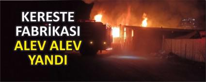 KERESTE FABR�KASI ALEV ALEV YANDI