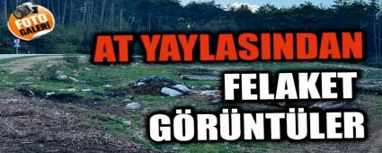At Yaylas�\'nda �evre felaketi