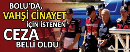 BOLU\'DA, VAH�� C�NAYET ���N �STENEN CEZA BELL� OLDU