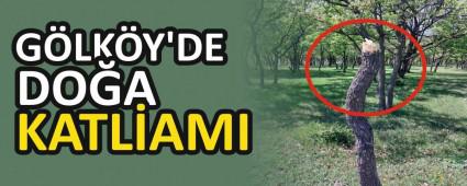G�LK�Y\'DE DO�A KATL�AMI