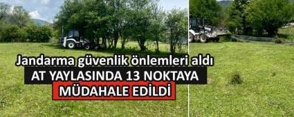 AT YAYLASINDA 13 NOKTAYA M�DAHALE ED�LD�