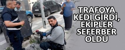TRAFOYA KED� G�RD�, EK�PLER SEFERBER OLDU
