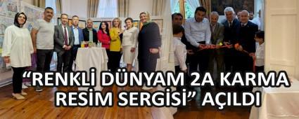 �RENKL� D�NYAM 2A KARMA RES�M SERG�Sݔ A�ILDI