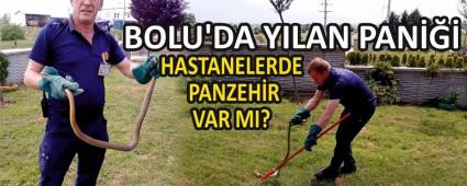 BOLU\'DA YILAN PAN��� 