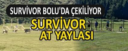 SURV�VOR BOLU\'DA �EK�L�YOR