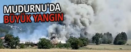 MUDURNU\'DA B�Y�K YANGIN