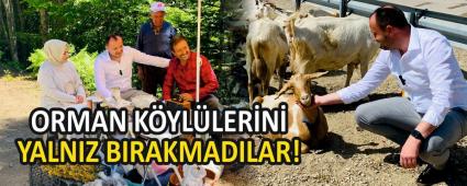 ORMAN K�YL�LER�N� YALNIZ BIRAKMADILAR!