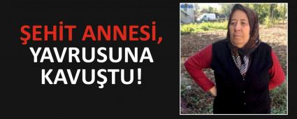 �EH�T ANNES�, YAVRUSUNA KAVU�TU!