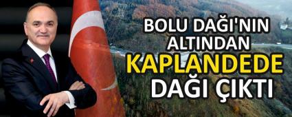 BOLU DA�I\'NIN ALTINDAN  KAPLANDEDE DA�I �IKTI