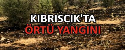 KIBRISCIK\'TA �RT� YANGINI
