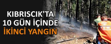 KIBRISCIK\'TA 10 G�N ���NDE �K�NC� YANGIN
