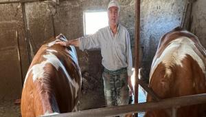 Seben\'de 3 k�yde s�t s���rc�l��� kredisi verildi