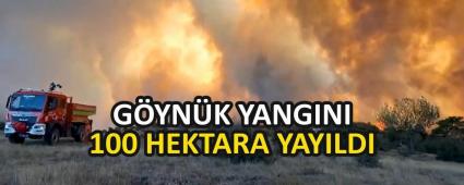 G�YN�K YANGINI 100 HEKTARA YAYILDI
