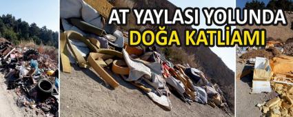 AT YAYLASI YOLUNDA  DO�A KATL�AMI