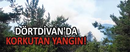 D�RTD�VAN\'DA KORKUTAN YANGIN!