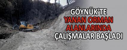 G�YN�K\'TE YANAN ORMAN ALANLARINDA �ALI�MALAR BA�LADI