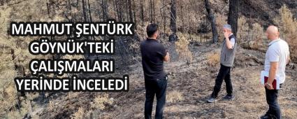 MAHMUT �ENT�RK G�YN�K\'TEK� �ALI�MALARI YER�NDE �NCELED�