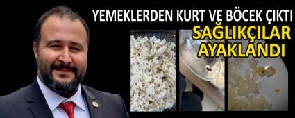   YEMEKLERDEN KURT VE B�CEK �IKTI