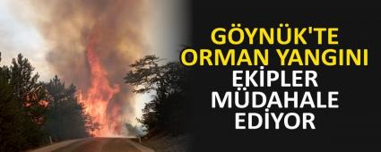 G�YN�K\'TE ORMAN YANGINI