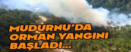 Mudurnu\'da orman yang�n� ba�lad�