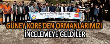 G�NEY KORE\'DEN ORMANLARIMIZI �NCELEMEYE GELD�LER