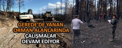 GEREDE\'DE YANAN ORMAN ALANLARINDA �ALI�MALAR DEVAM ED�YOR