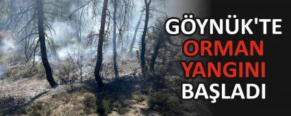 G�YN�K\'TE ORMAN YANGINI BA�LADI