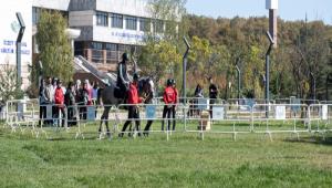Kamp�s Kar��lama Festivalinde 5. G�n
