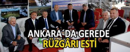 ANKARA�DA GEREDE R�ZG�RI EST�    