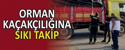 ORMAN KA�AK�ILI�INA SIKI TAK�P