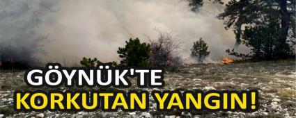 G�YN�K\'TE KORKUTAN YANGIN!