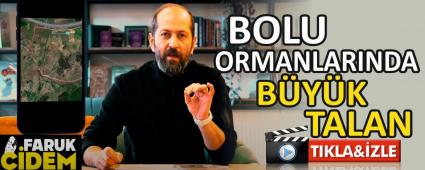 BOLU ORMANLARINDA B�Y�K TALAN