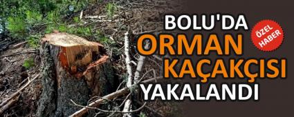 BOLU\'DA ORMAN KA�AK�ISI YAKALANDI