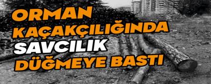 Bolu\'da orman ka�ak��l���nda savc�l�k d��meye bast�