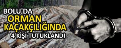 BOLU\'DA ORMAN KA�AK�ILI�INDA 4 K��� TUTUKLANDI