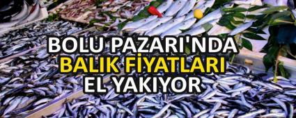 BOLU PAZARI\'NDA BALIK F�YATLARI EL YAKIYOR