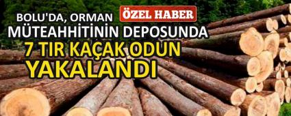BOLU\'DA, ORMAN M�TEAHH�T�N�N DEPOSUNDA 7 TIR KA�AK ODUN YAKALANDI