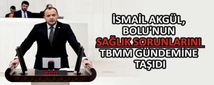 �SMA�L AKG�L, BOLU\'NUN SA�LIK SORUNLARINI TBMM G�NDEM�NE TA�IDI