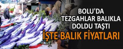 BOLU\'DA TEZGAHLAR BALIKLA DOLDU TA�TI