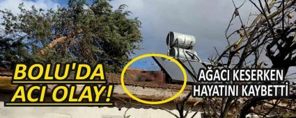 Bolu\'da, �at�daki a�ac� keserken hayat�n� kaybetti