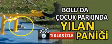 BOLU\'DA �OCUK PARKINDA YILAN PAN���