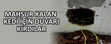 MAHSUR KALAN KED� ���N DUVARI KIRDILAR