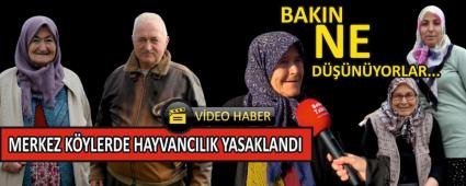 MERKEZ K�YLERDE HAYVANCILIK YASAKLANDI!