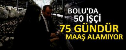 BOLU\'DA 50 ���� 75 G�ND�R MAA� ALAMIYOR