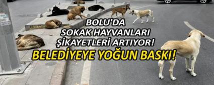 BELED�YEYE YO�UN BASKI!