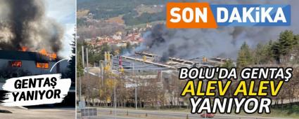 BOLU\'DA GENTA� ALEV ALEV YANIYOR