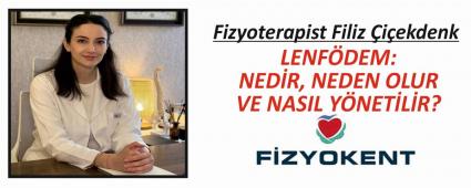 LENF�DEM: NED�R, NEDEN OLUR VE NASIL Y�NET�L�R?