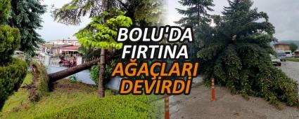 BOLU\'DA FIRTINA A�A�LARI DEV�RD�