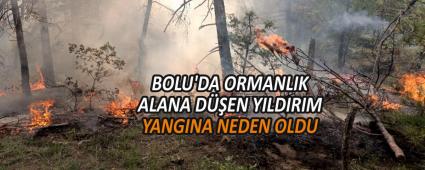 BOLU\'DA ORMANLIK ALANA D��EN YILDIRIM YANGINA NEDEN OLDU