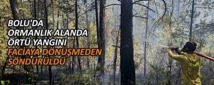 BOLU\'DA ORMANLIK ALANDA �RT� YANGINI FAC�AYA D�N��MEDEN S�ND�R�LD�